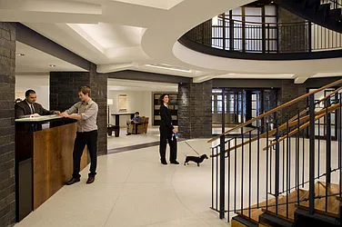 Rented by The Octagon