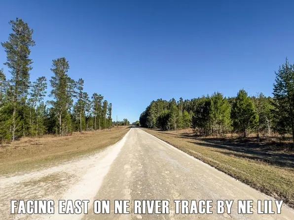 0 NE River Trace Trl, Lee, FL 32059