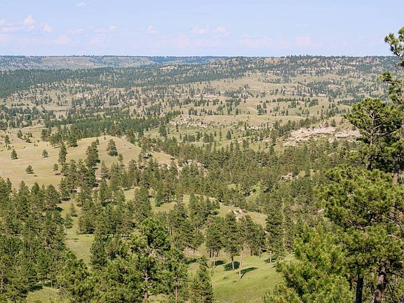 3rd image of 2703 S Pompeys Rd