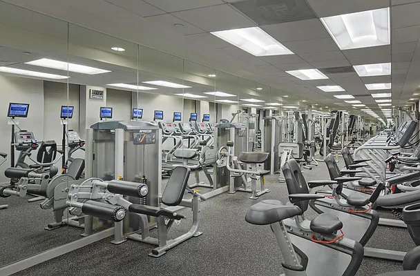 Rented by Voro, LLC | media 26