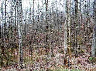 Vacant Land #4, Rose Hill, VA 24281