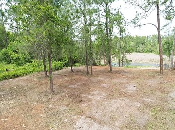4th image of Locust Run Dr Lot 43