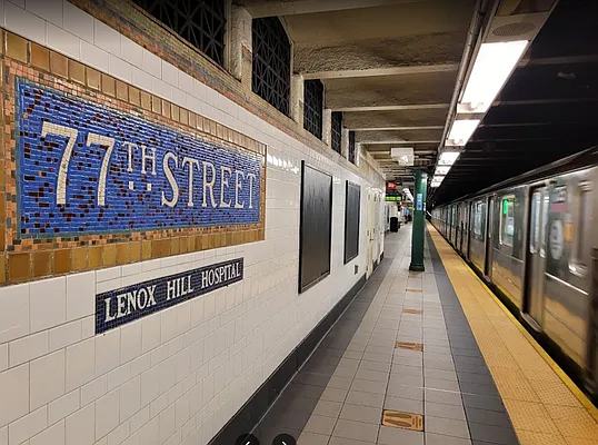 Rented by Luxian International Realty LLC | media 89