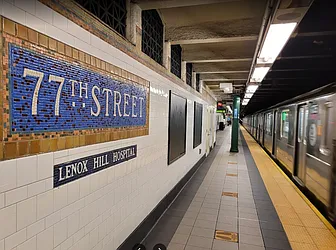 Rented by Luxian International Realty LLC