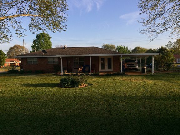 Back View