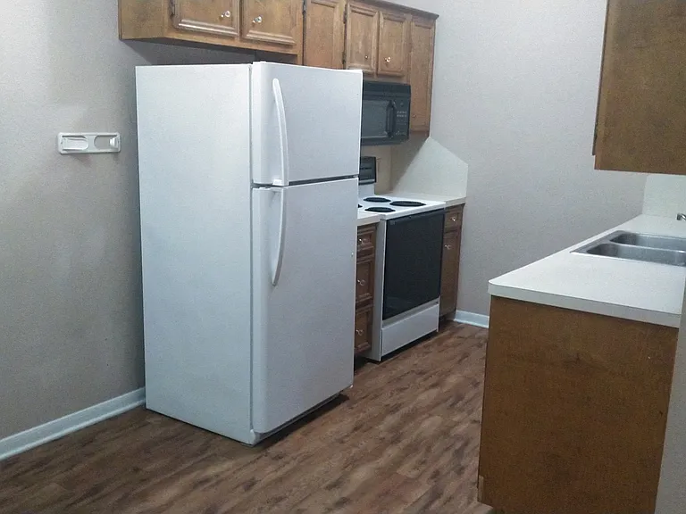 Jasper — Photo 11
