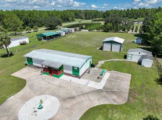 104 Ketner Rd, Welaka, FL 32193