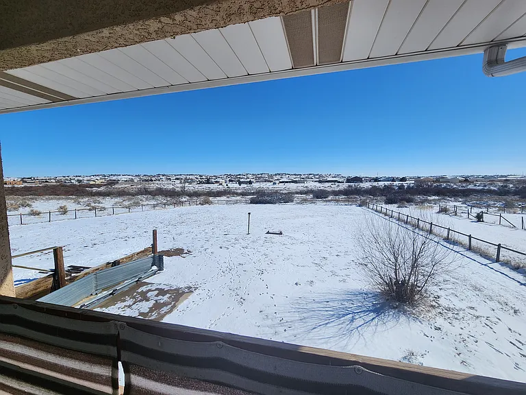 Back yard