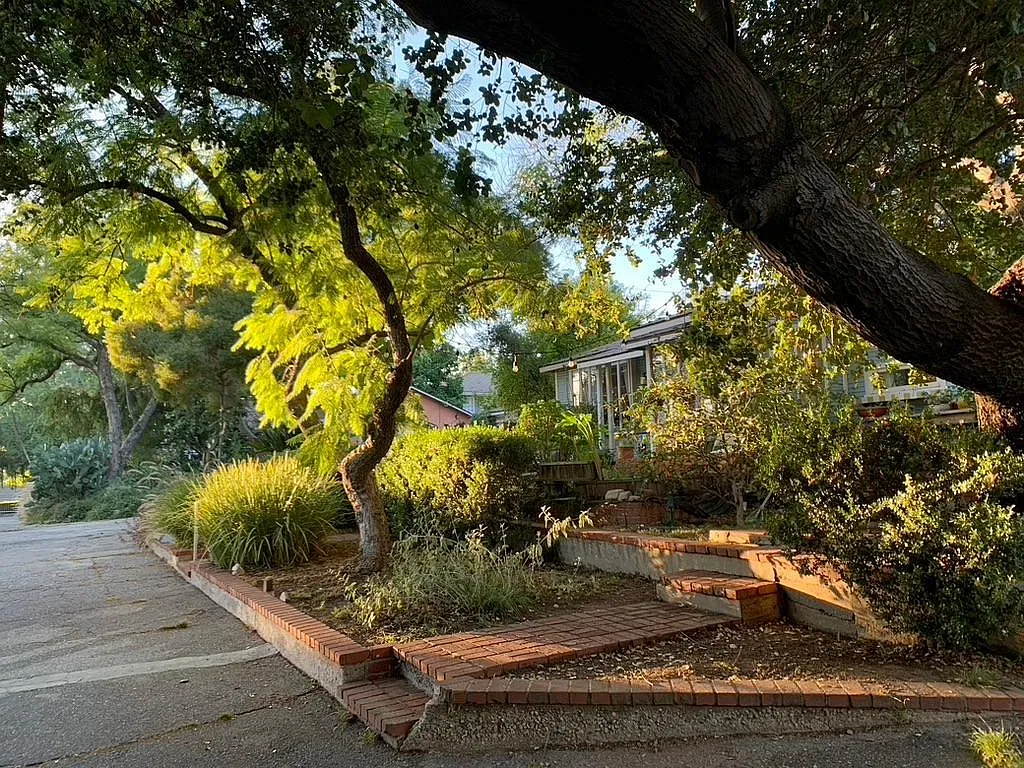 2 bed, 800 sqft, $4,500 — Photo 3