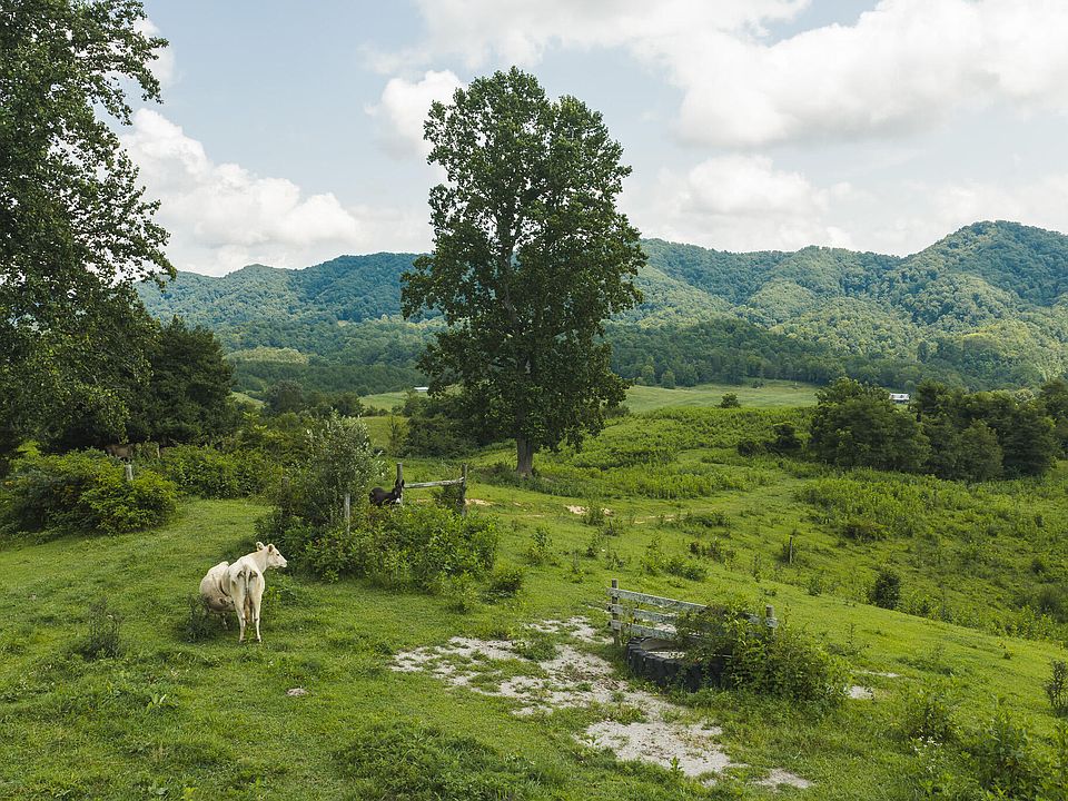 1st image of 1430 Clinch Valley Rd #55.55