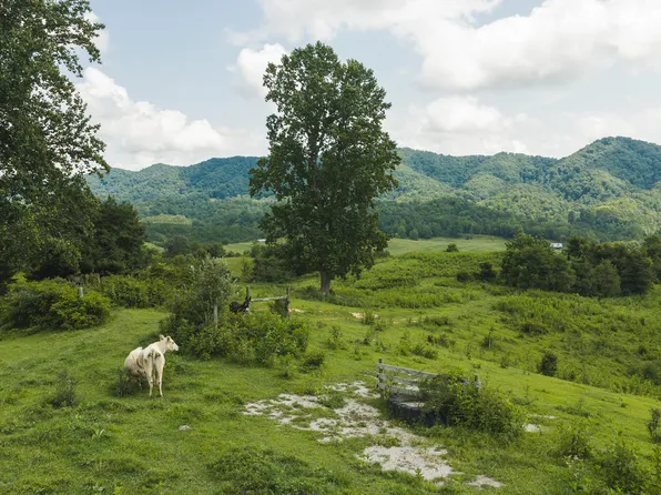 1430 Clinch Valley Rd #55.55, Sneedville, TN 37869