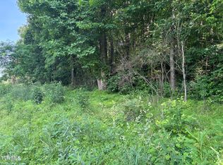 Tbd Reedy Creek Rd, Abingdon, VA 24210