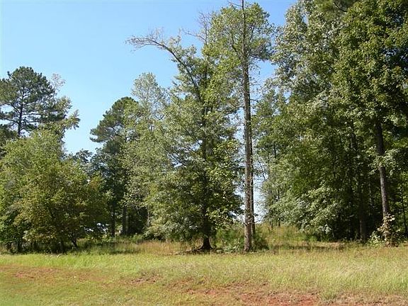 4th image of 1240 McFaddin Ln