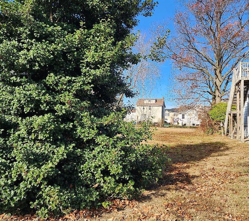 2nd image of 2035 Walnut St