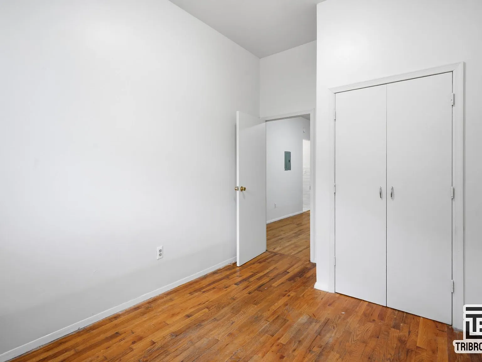383 Palmetto Street — Photo 4