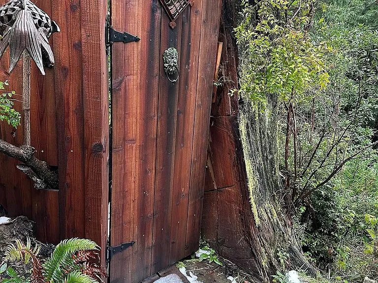 125 Garden Ln — Photo 28
