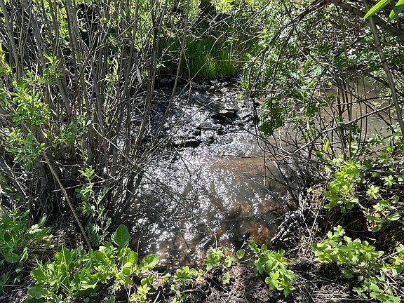 2nd image of Forbes Wagon Creek Rnch Lot 143