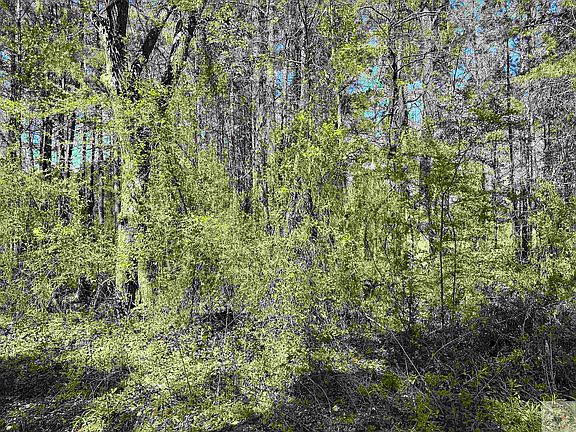4th image of 58 Hickory Wood Dr