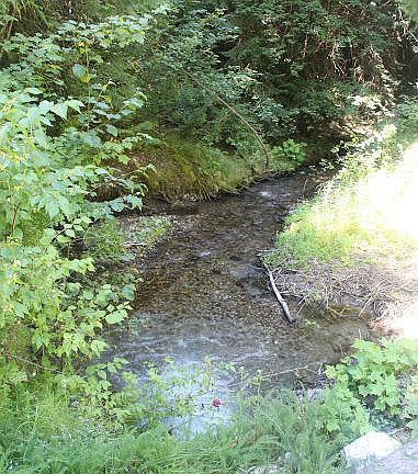 5th image of 1088 Clugston Onion Creek Rd