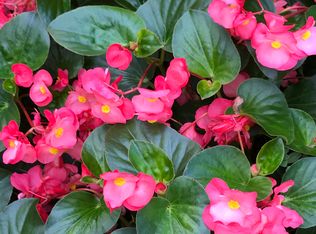 402 Andrew Cir, Indiana, PA 15701