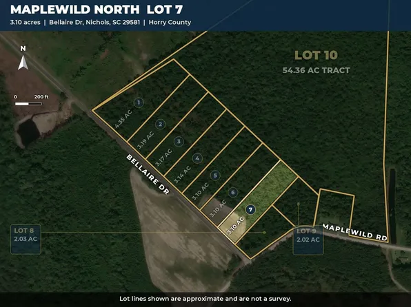 TBD Bellaire Dr. Lot 7, Nichols, SC 29581