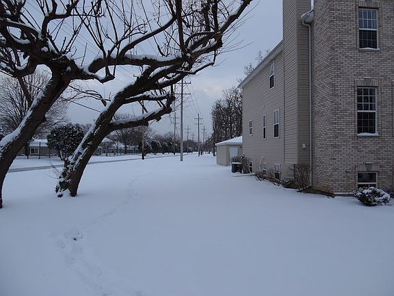 3rd image of 3603 Warren Ave