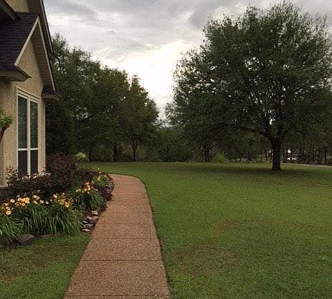 Front yard