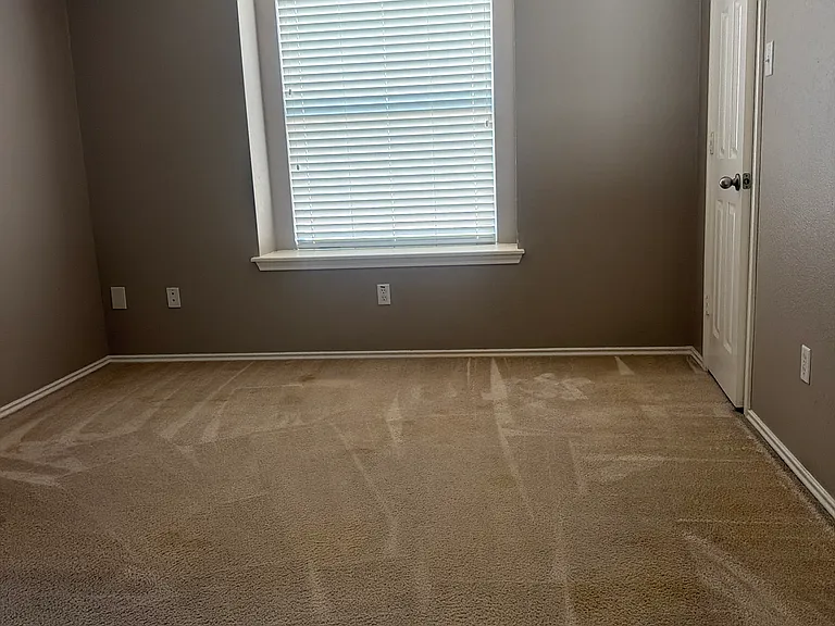 3809 Castle Rock Cv — Photo 13