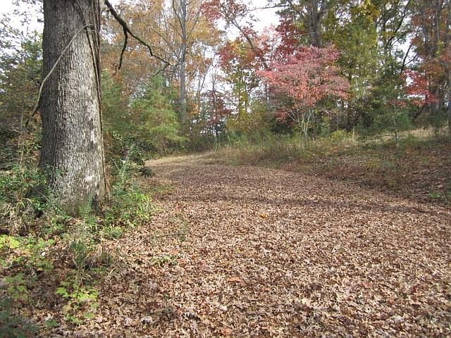 2nd image of 1720 Raper Mountain Rd Lot 1