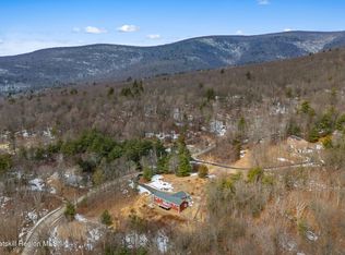 184 Haver Rd, Olive, NY 12461