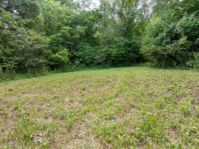 6204 Pettus Rd — Photo 43