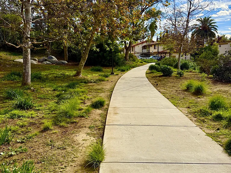 Take a Stroll Around Local Library