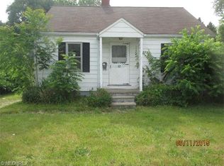 119 Woodworth Ave, Painesville, OH 44077
