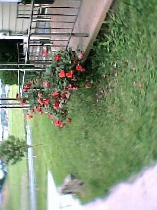 1st image of 1551 Bauer Blvd