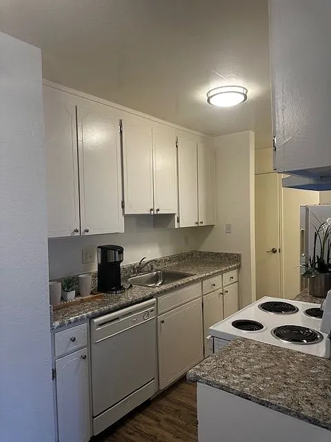 Modera — Photo 4