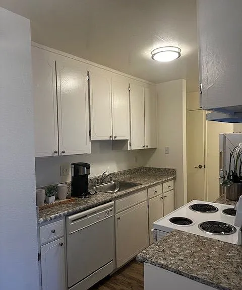 Modera — Photo 4