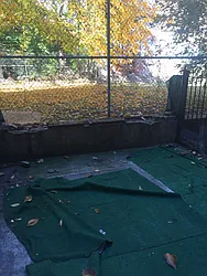 Rented by Park Avenue South Management 