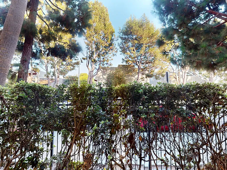 Tierra del Rey — Photo 48