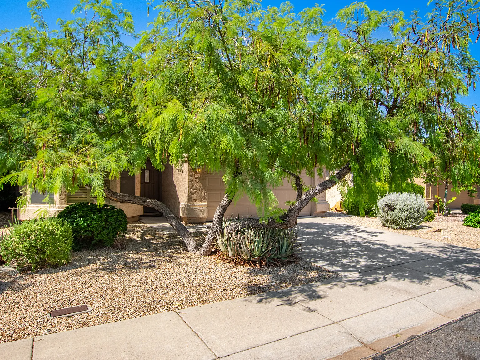 3 bed, 1663 sqft, $2,800 — Photo 2
