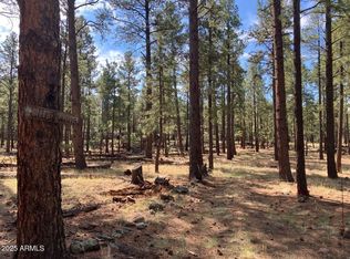 18 N County Road 1045 #103, Springerville, AZ 85938