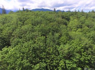 0 Larch Rd, Quilcene, WA 98376