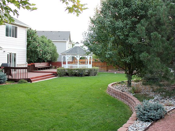 back yard