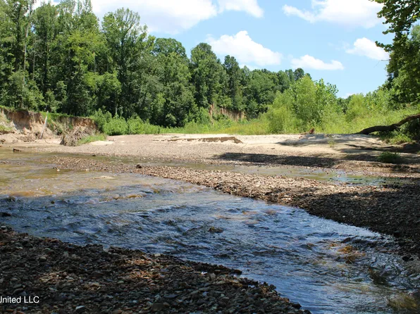 Henderson Rd, Bentonia, MS 39040