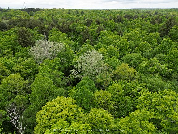 5th image of 22342 East Rd #1