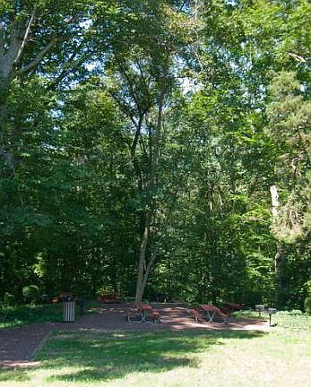 Picnic Area