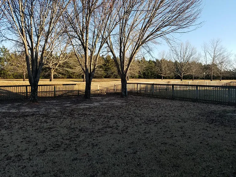 9437 Broadleaf Dr — Photo 24