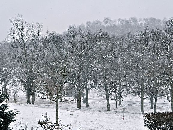 View from front of home