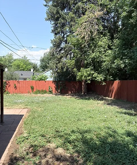 Large backyard
