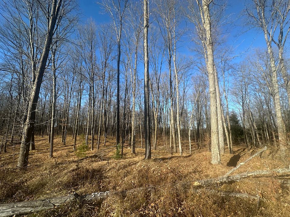 2nd image of LOT 7 Mud Lake Rd #On