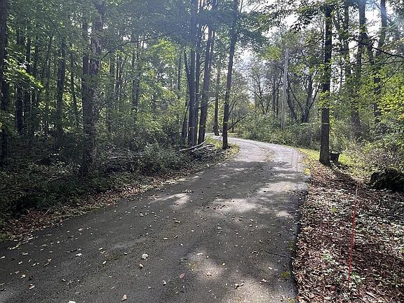 3rd image of 807 White Oak Dr